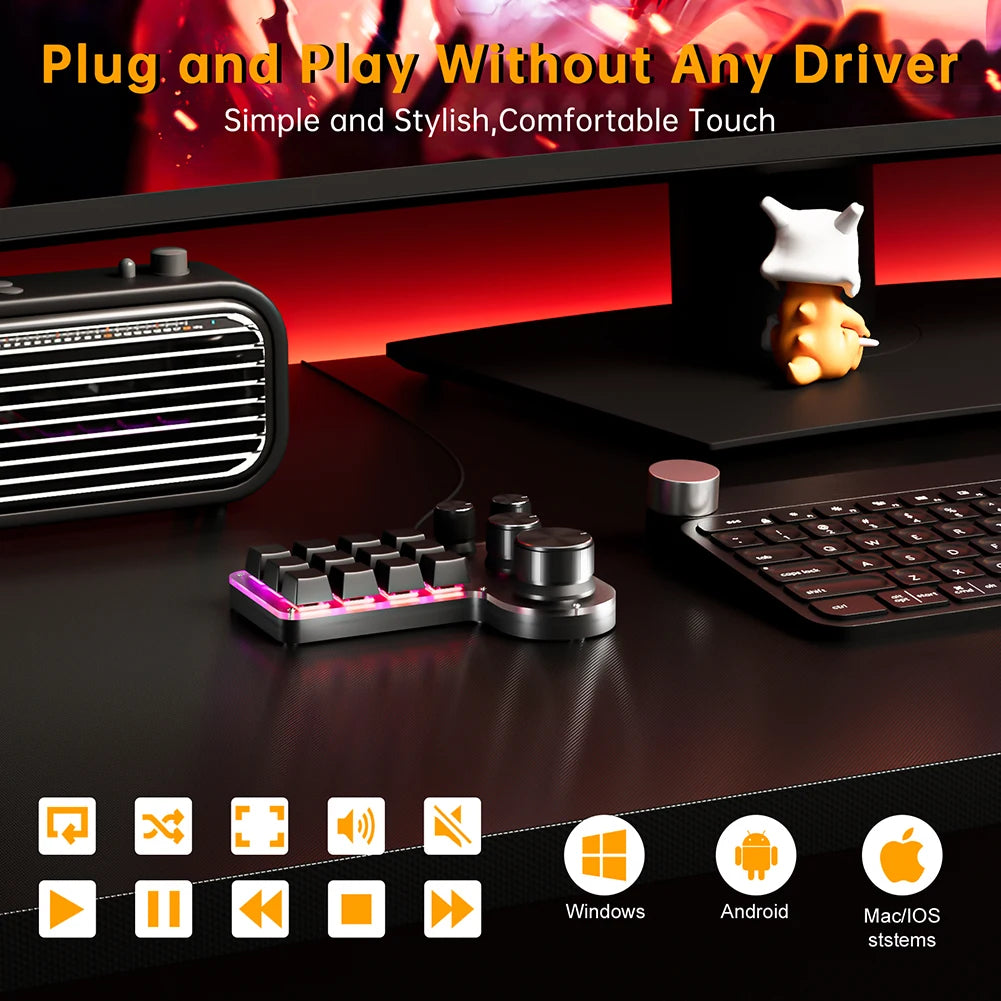 12 Keys 4 Knobs Mechanical