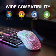 2.4G Wireless Mouse with RGB