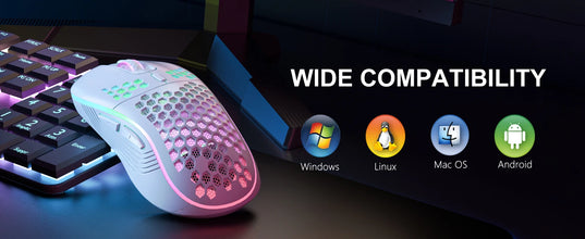 2.4G Wireless Mouse with RGB
